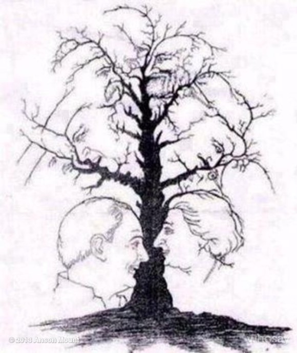 Faces in the Trees Optical Illusion