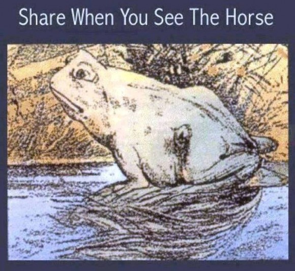 Spot the Horse Optical Illusion