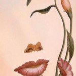 Hidden Face Optical Illusion