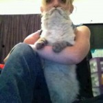 Lady and Her Cat Optical Illusion