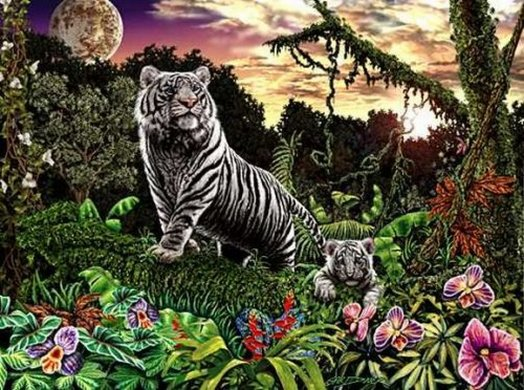 Find the Tigers Optical Illusion