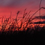 The Mysterious Sunset Optical Illusion