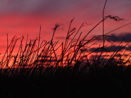 The Mysterious Sunset Optical Illusion