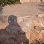 Shadow with Eyes Optical Illusion
