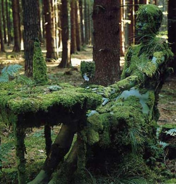 The Mossy Lady Optical Illusion