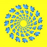 butterflies illusion