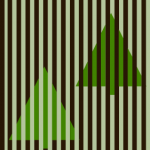 color illusion