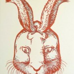 rabbt optical illusion