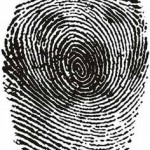 fingerprint illusion