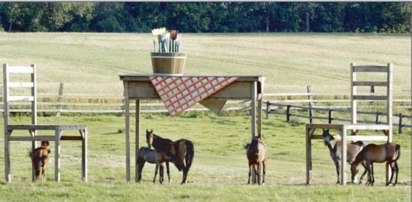 horse-table-converted