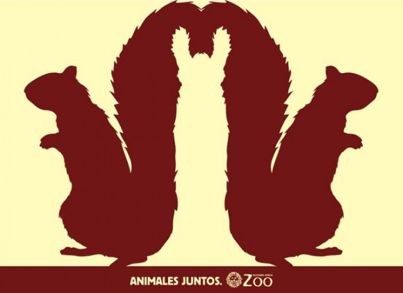 Argentina Zoo animals optical illusions 7