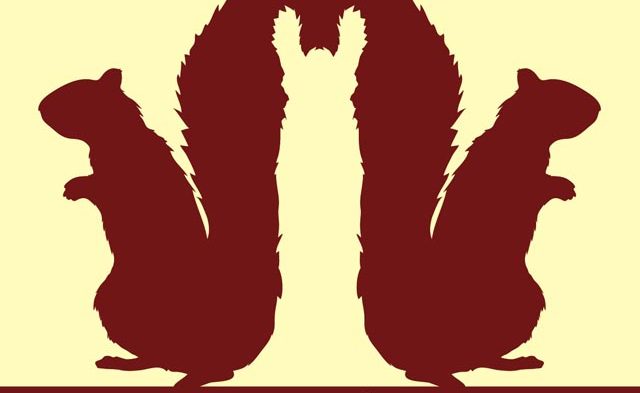 Buenos Aires Zoo Animal Optical Illusions img