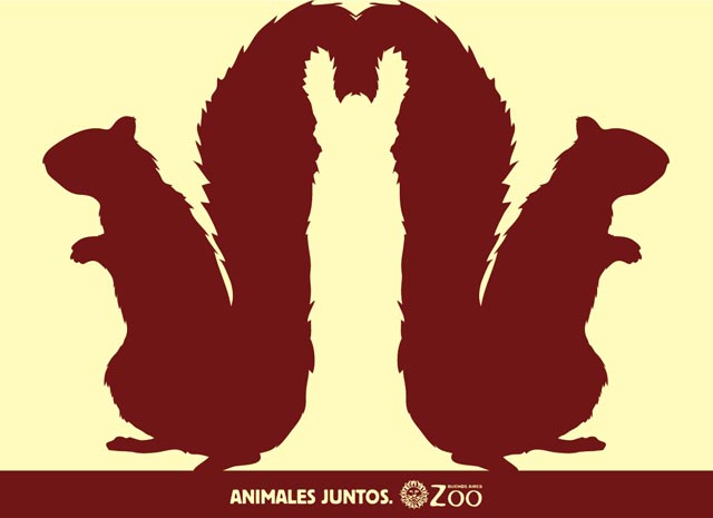 Buenos Aires Zoo Animal Optical Illusions Buenos Aires Zoo Animal Optical Illusions
