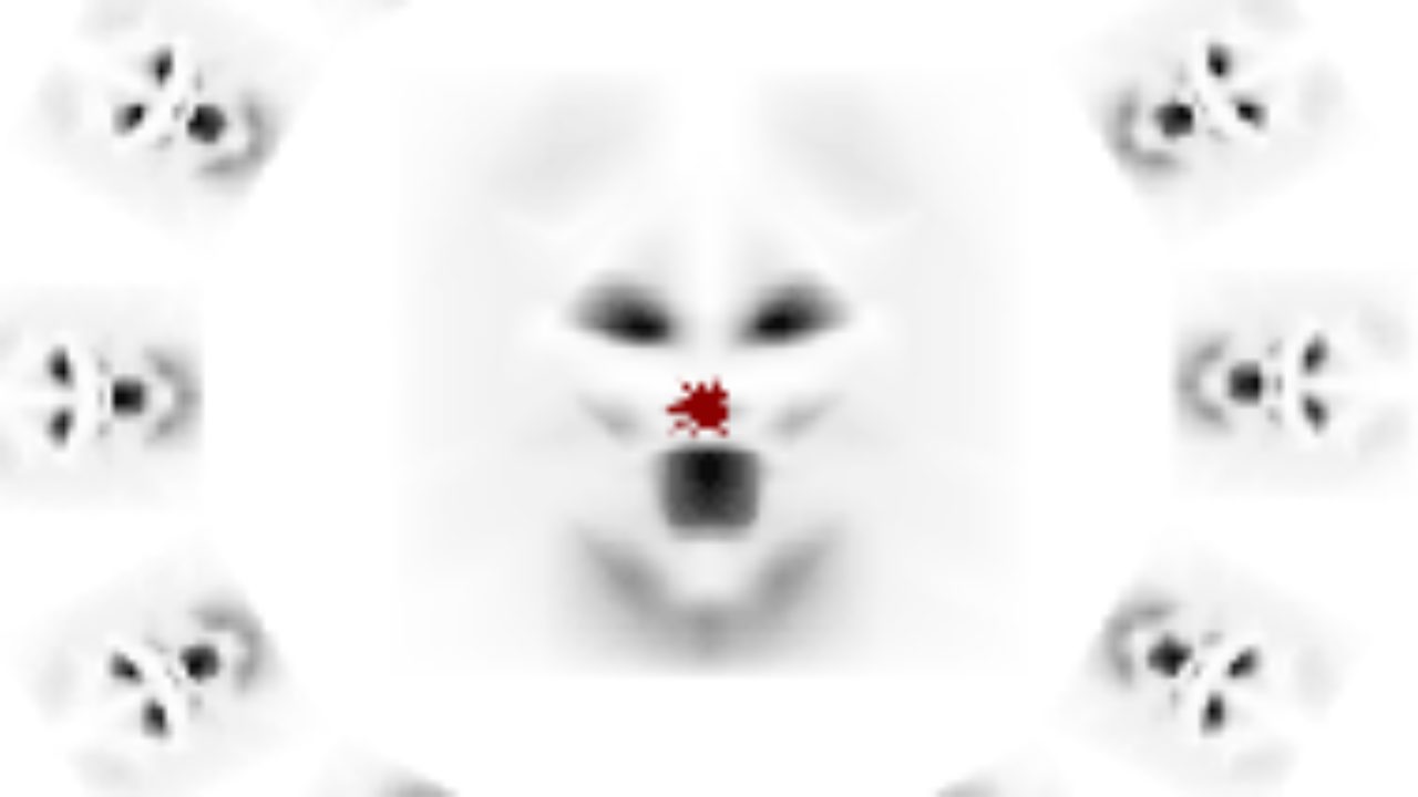 Skull Chaser Optical Illusion