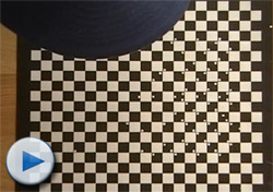 checkers board video illusion