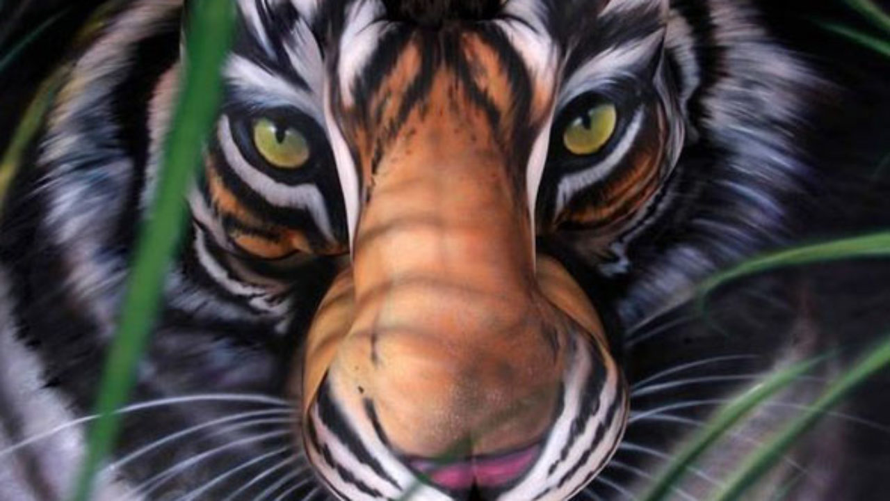 Tiger Optical Illusion