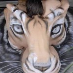 Bodypaint Tiger Optical Illusion by Craig Tracy 3