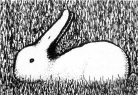 rabbit duck optical illusion