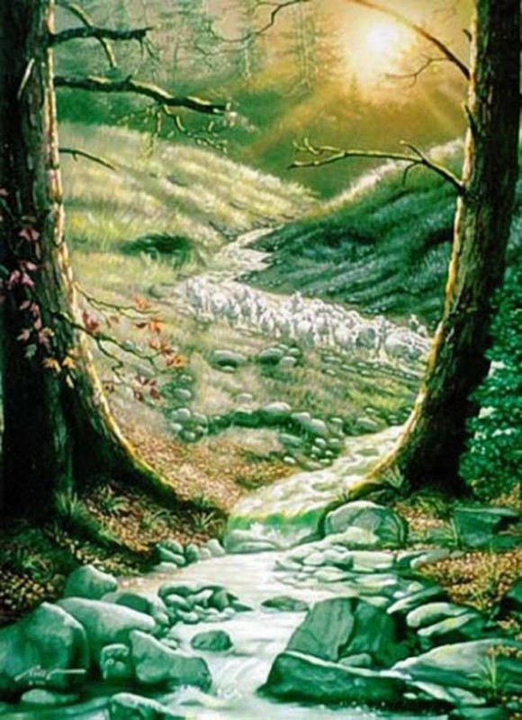 forest-face-optical-illusion