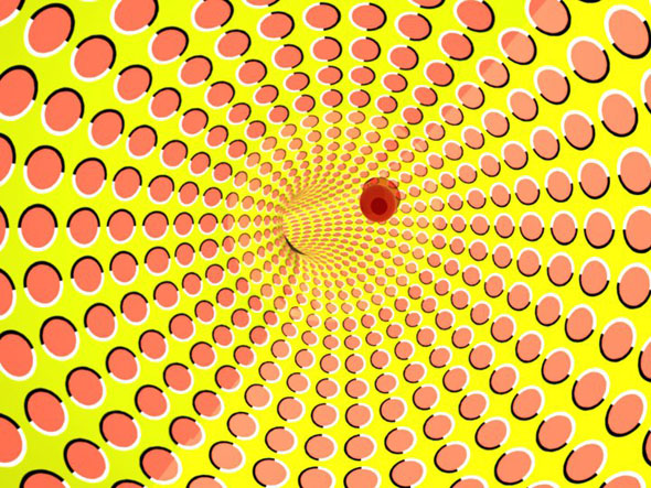 Anh Pahm Optical Illusion 3