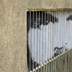 ZebraThing04