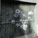 ZebraThing06