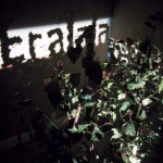 Fred Eerdekens - Tree2