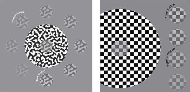 schizophrenia test 