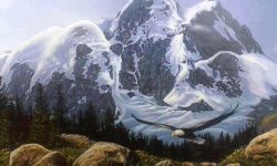 Pittsburgh Zoo Optical Illusion