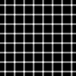 220px-Grid_illusion.svg