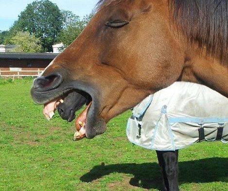 Perfectly Timed img