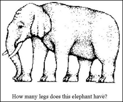 Elephant Legs Optical Illusion