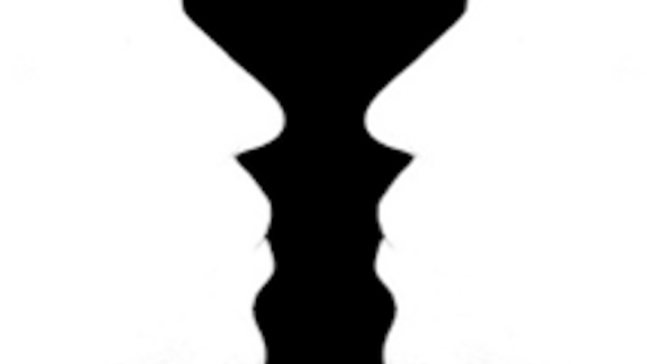 Vase Face Optical Illusion