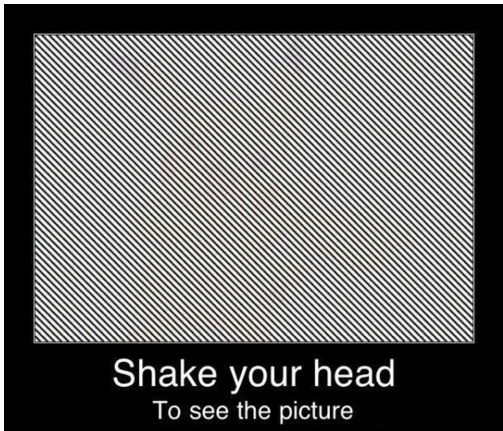 Shake Your Head Optical Illusion