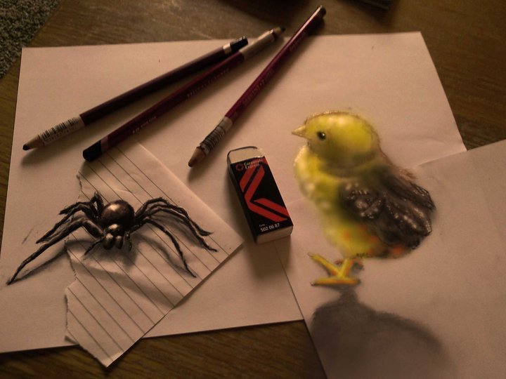 3D Bird and Spider Drawing