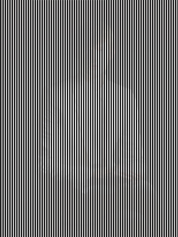 Hidden Image Optical Illusion