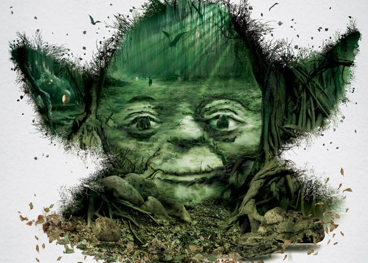 Star Wars Yoda Optical Illusion