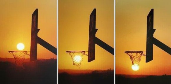 Natures Basketball Optical Illusion