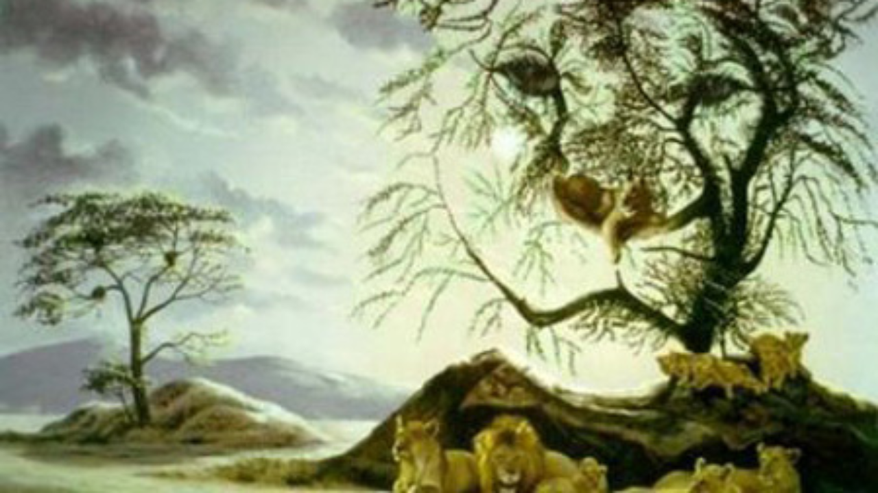 Hidden Pictures Illusions