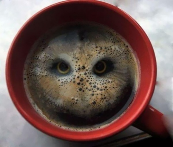 coffee cup with eyes optical illusion