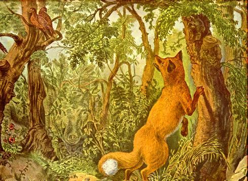 Find The Hidden Animals Optical Illusion Find The Hidden Animals Optical Illusion