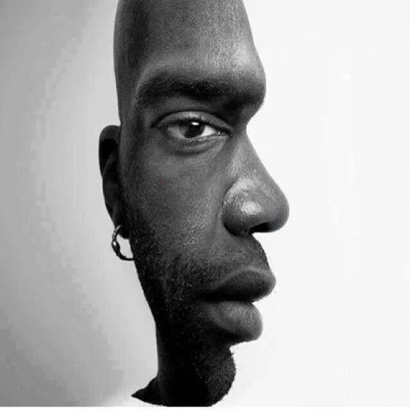 Front or Side View Optical Illusion