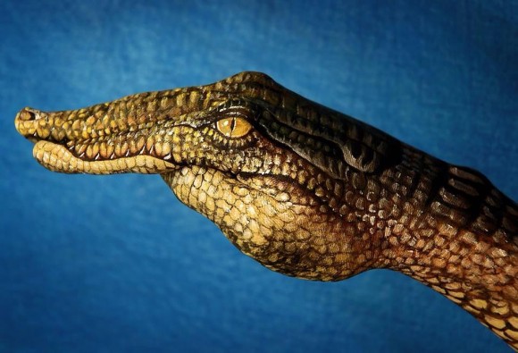 alligator hand optical illusion