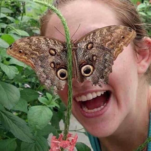 butterfly eyes optical illusion