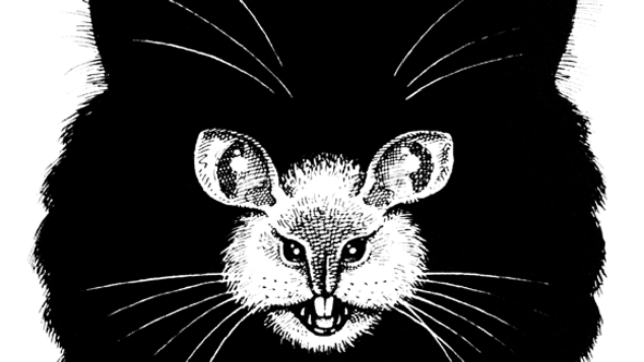 Cat And Mouse Optical Illusion Cat And Mouse Optical Illusion