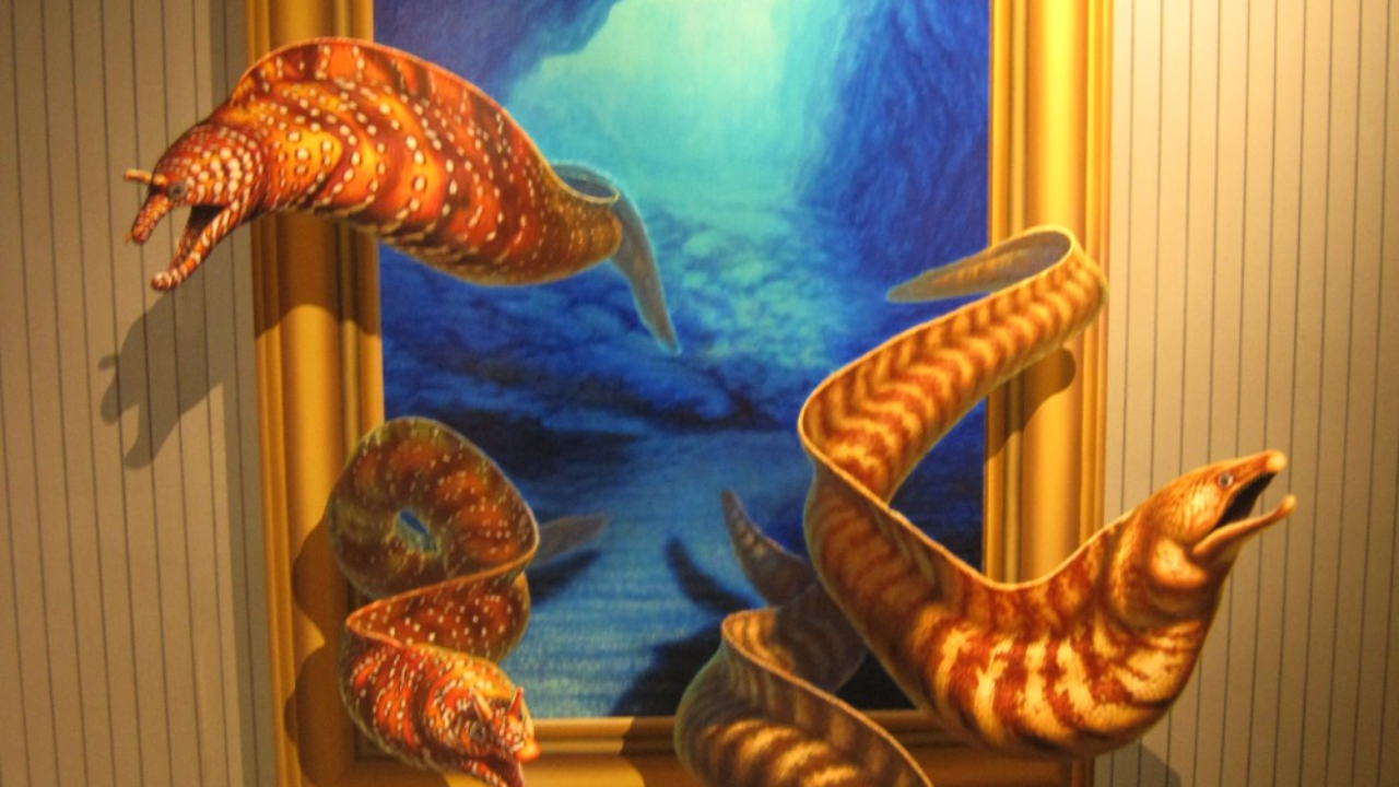 Illusions That Make You Feel Like Youre Underwater