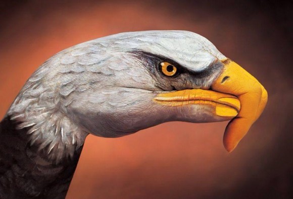 Eagle Hand Optical Illusion