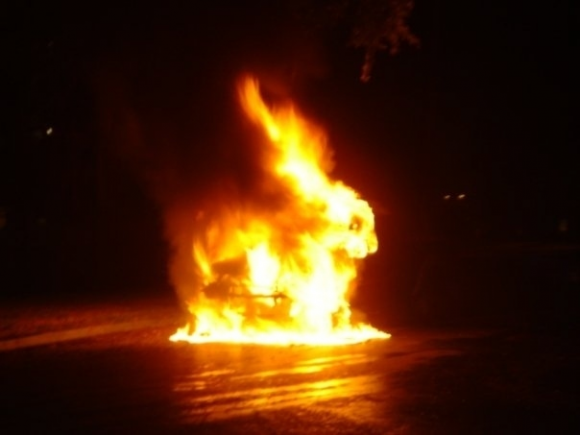 Rabbit in the Fire Optical Illusion