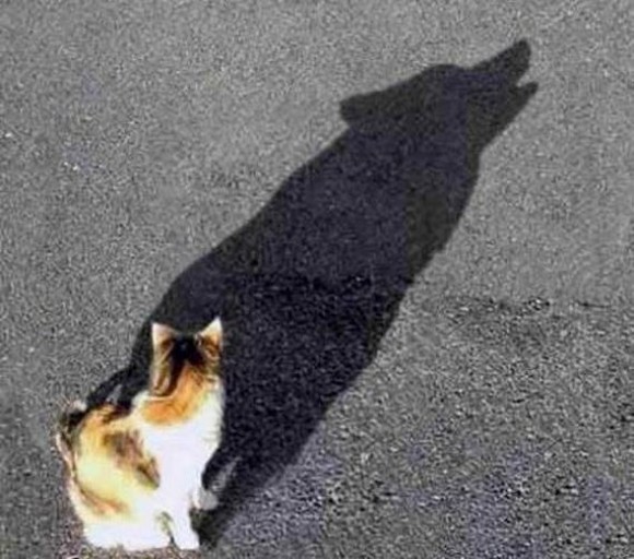Inner Beast Optical Illusion