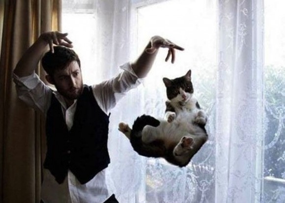 Magician and cat optical illusion picture